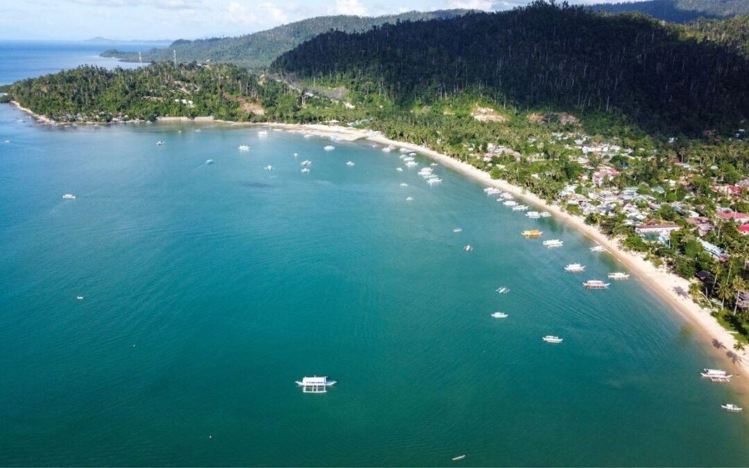 San Vicente Palawan Beachfront Properties for Sale