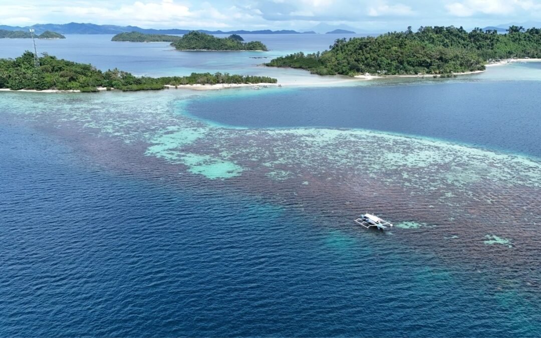 Guide to Investing in Real Estate in Palawan